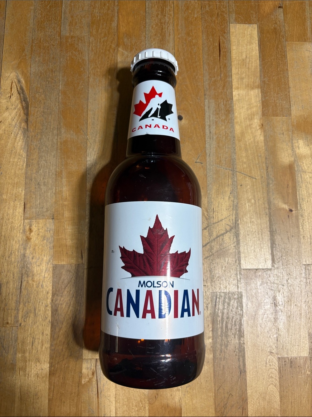 Molson Canadian Beer Bottle Coin Bank